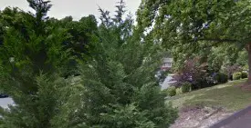 section 8 rental