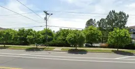 section 8 rental