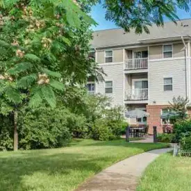section 8 rental