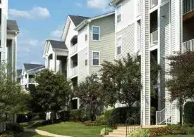 section 8 rental