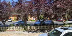 section 8 rental
