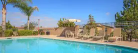 section 8 rental
