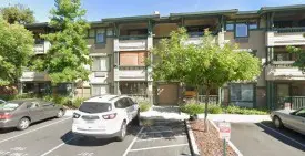 section 8 rental