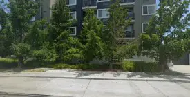 section 8 rental