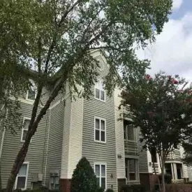 section 8 rental