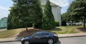 section 8 rental
