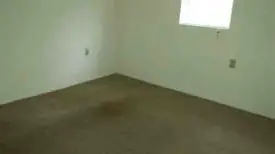 section 8 rental