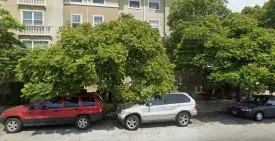 section 8 rental