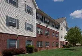 section 8 rental