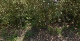section 8 rental