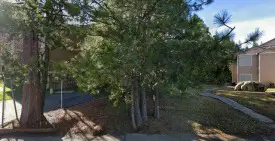 section 8 rental