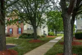 section 8 rental