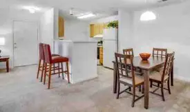 section 8 rental