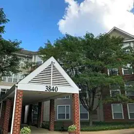 section 8 rental