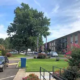 section 8 rental