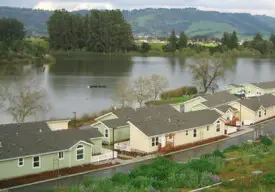 section 8 rental
