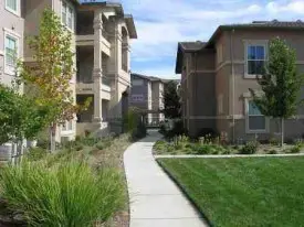 section 8 rental