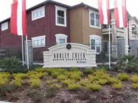 section 8 rental