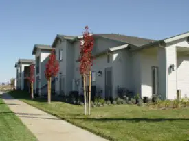 section 8 rental