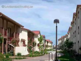 section 8 rental