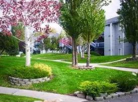 section 8 rental