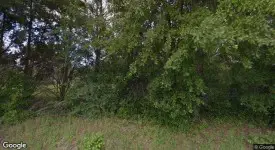 section 8 rental
