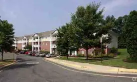 section 8 rental