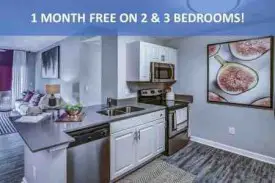 section 8 rental
