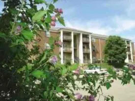 section 8 rental