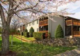 section 8 rental