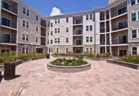 section 8 rental
