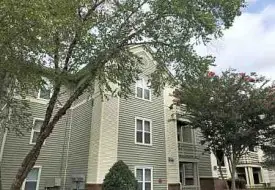 section 8 rental