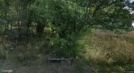 section 8 rental