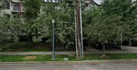 section 8 rental