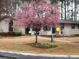 section 8 rental