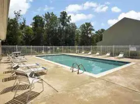 section 8 rental