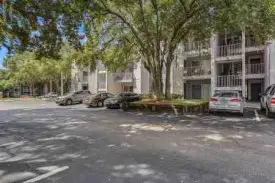 section 8 rental