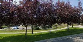 section 8 rental