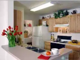 section 8 rental