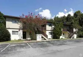 section 8 rental