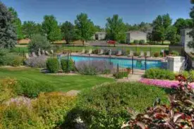 section 8 rental