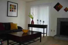 section 8 rental