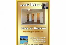 section 8 rental
