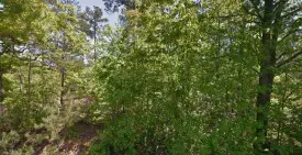 section 8 rental