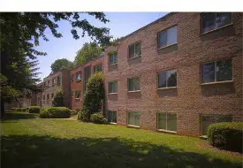 section 8 rental