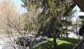 section 8 rental
