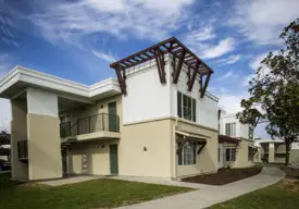 section 8 rental