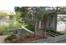 section 8 rental