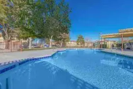 section 8 rental