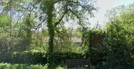 section 8 rental